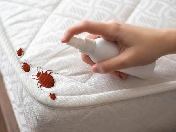 Best Pest Control for Multi-Family Homes  in Bennett, CO